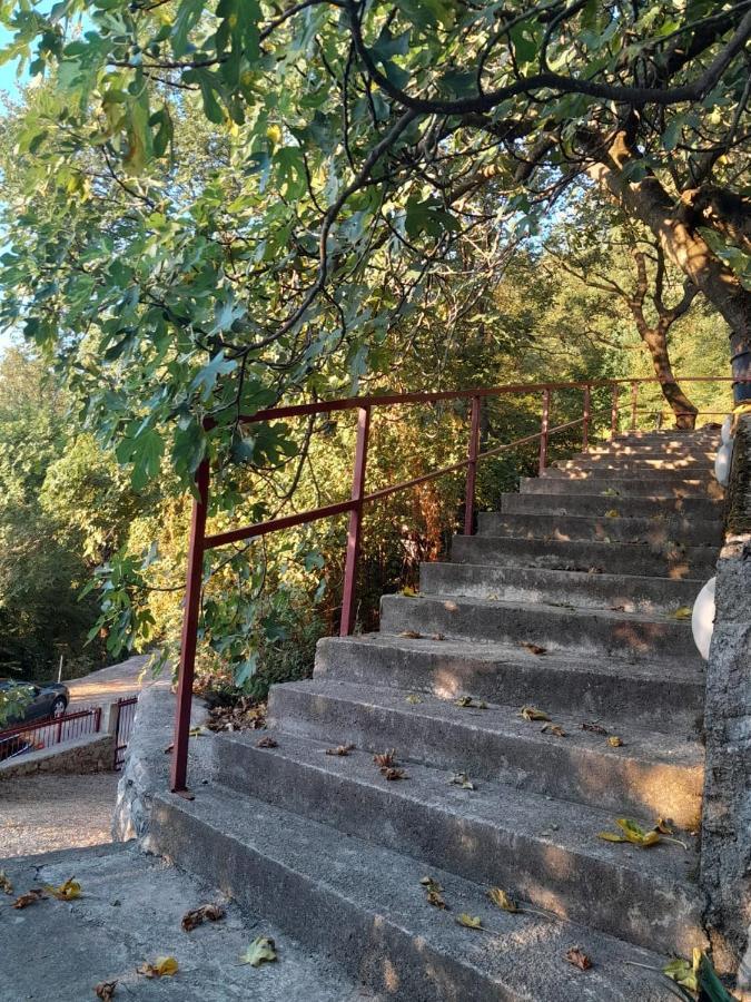 Apartmani Mia Rada Budua Esterno foto